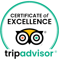 Tripadvisor road tour reviews