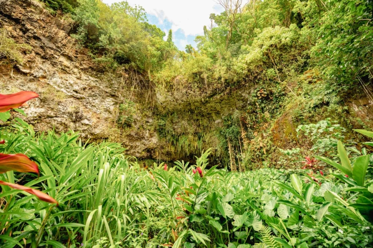 Wailua River Fern Grotto Kauai 
