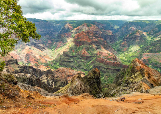 Waimea Canyon Sightseeing Tour Kauai hawaiitoursphoto 