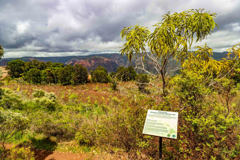 Waimea Canyon Sightseeing Tour Kauai hawaiitoursphoto