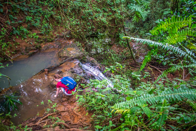 kauaihikingtours waimea canyon and kokee state feature explore kauai