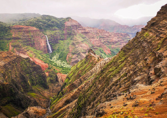 kauaihikingtours waimea canyon and kokee state feature explore waimea canyon