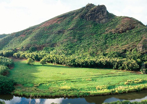polyad kauai waimea canyon waimea canyon experience wailua river on a scenic jounrey x 