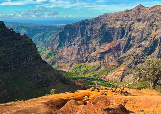 polyad waimea canyon on kauai