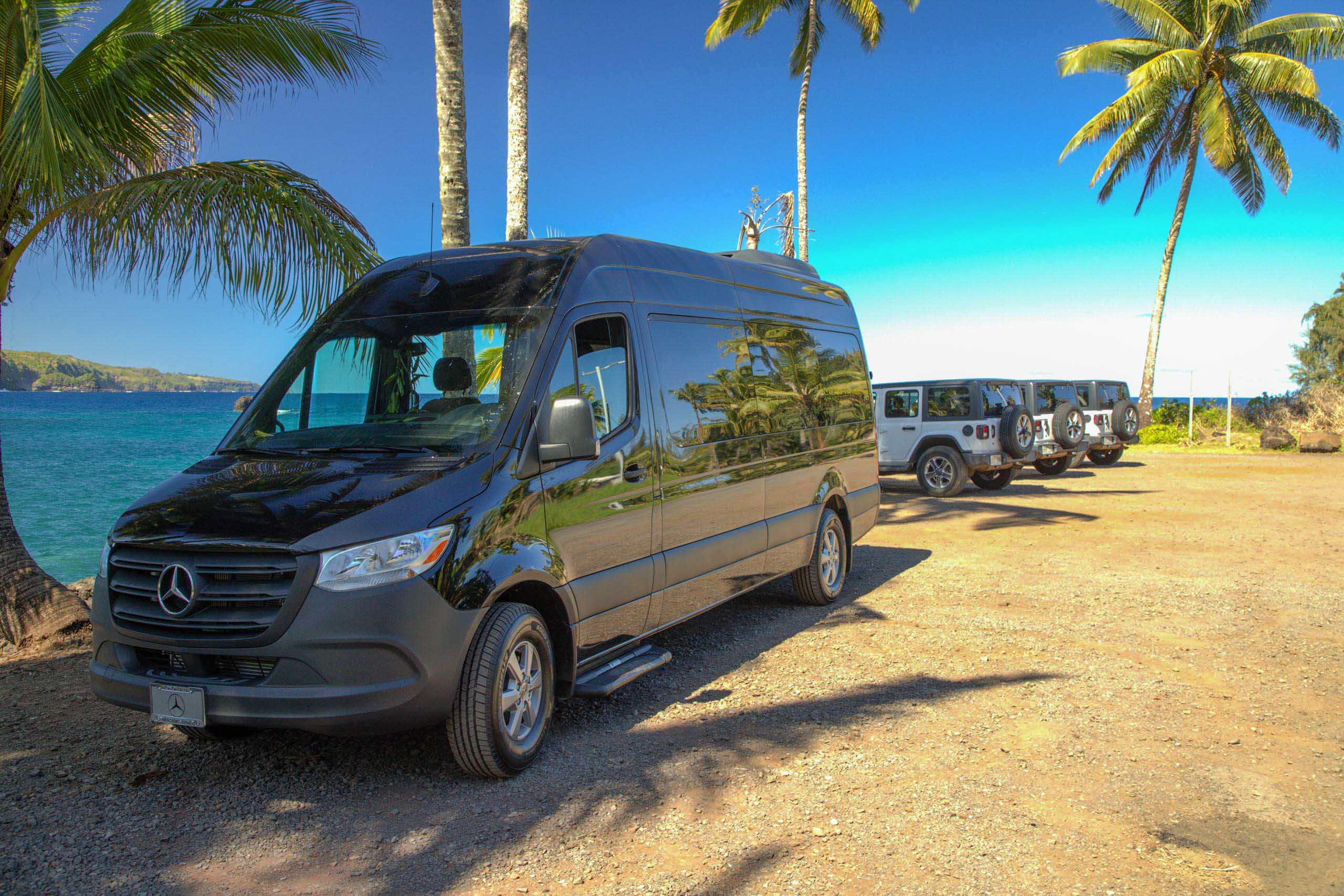 priavtetourfromlihuekauai for  guests feature transportation