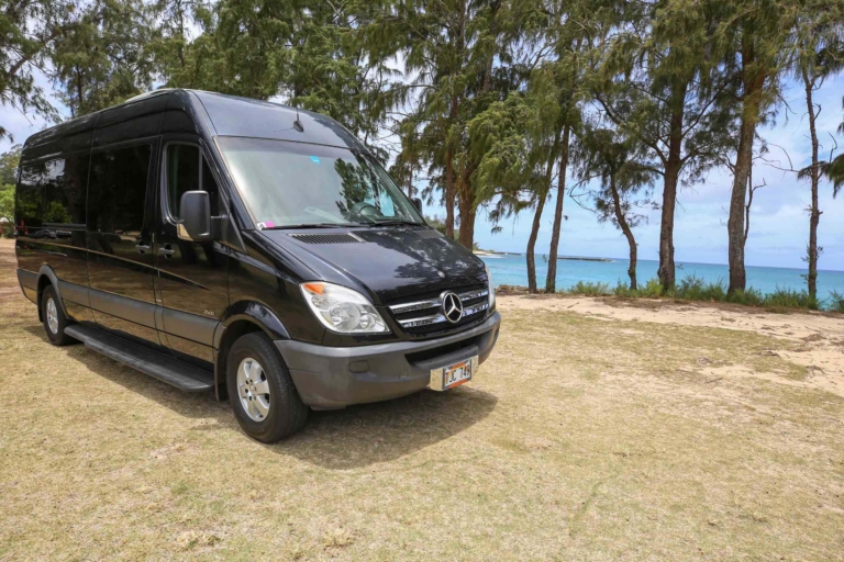 vans and guides hawaii black vans