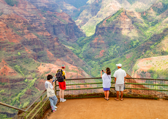 waimea canyon kauai island overview landscape