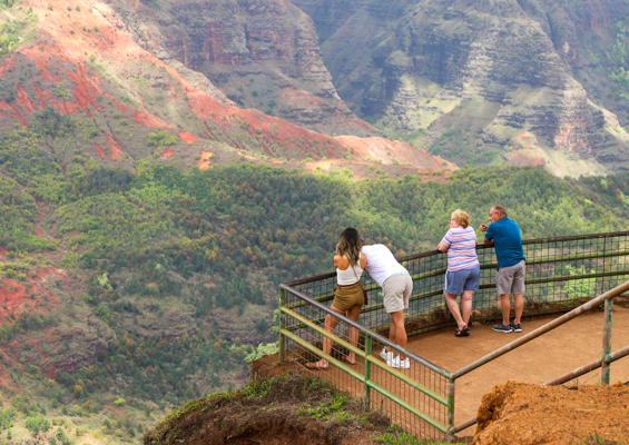 waimea canyon kokee sightseeing product image 