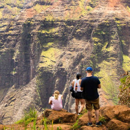 waimea canyon private tour product image