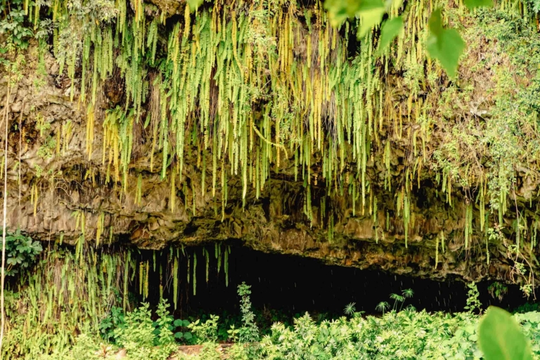 Wailua River Fern Grotto Kauai 