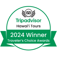 tripadvisor badge